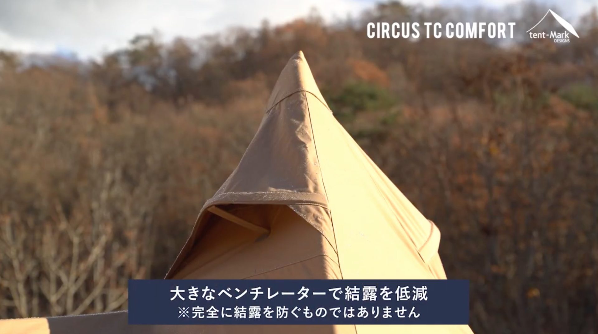 サーカスTC ソロ専用モデル「サーカスTC コンフォート ソロ」登場