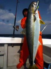 ブルー チェイサー BLC