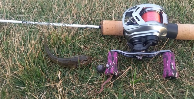 ダイワ ベイトリール アルファス SV TW 800S-XHL(左)【即日発送】(800S