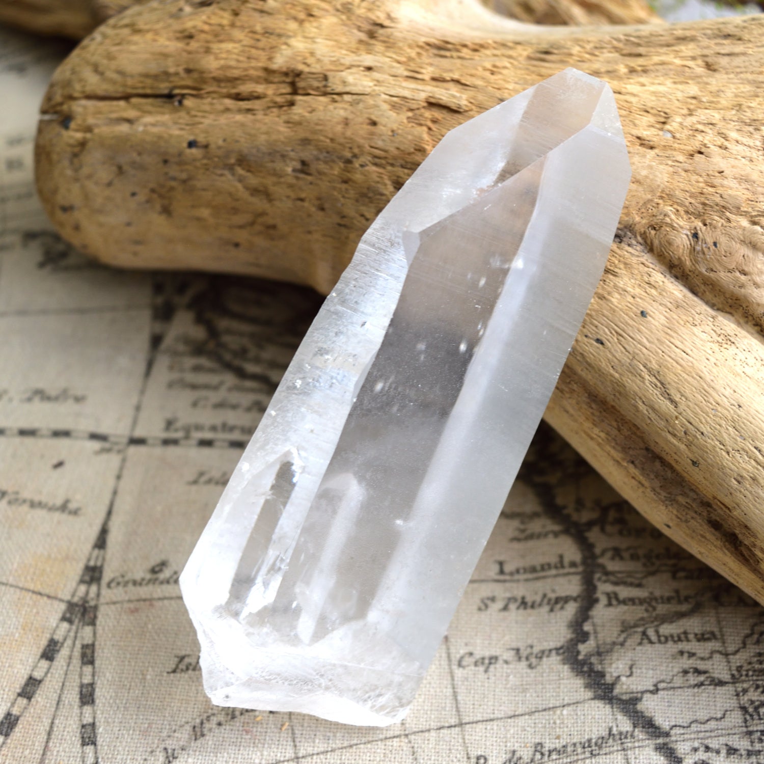 Lemurian Seed – Cathedral Cave