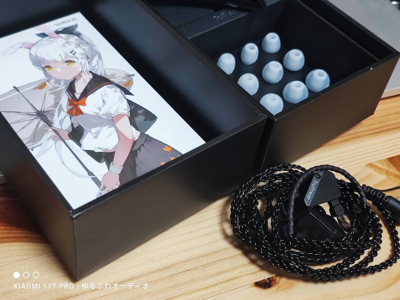 レビュー：Truthear HEXA 結論：A10K リケーブルTier1 傑作イヤホン