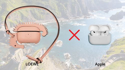LOEWEのAirPods Proケース：個性と高級感が光る贈り物｜MiaouChicの