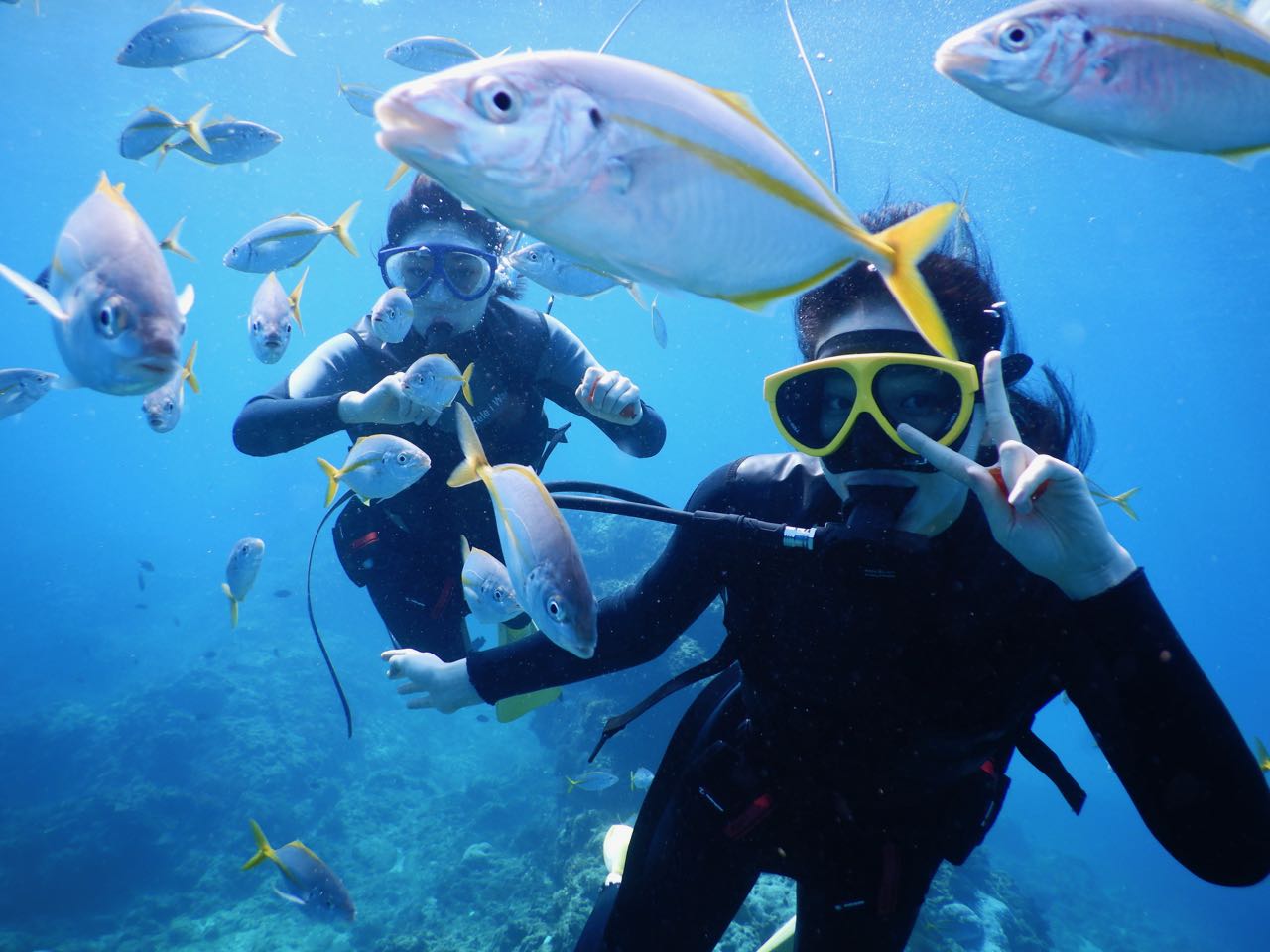 SCUBA LIGHT】 ライセンス不要！8才から始められるダイビング♪/NINZ