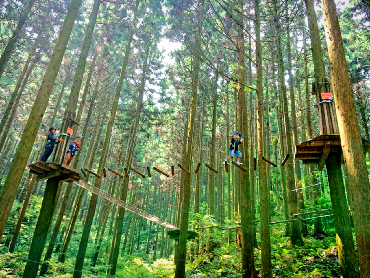 現在、修復工事中の為、休園しております。【キャノピーコース】女性や