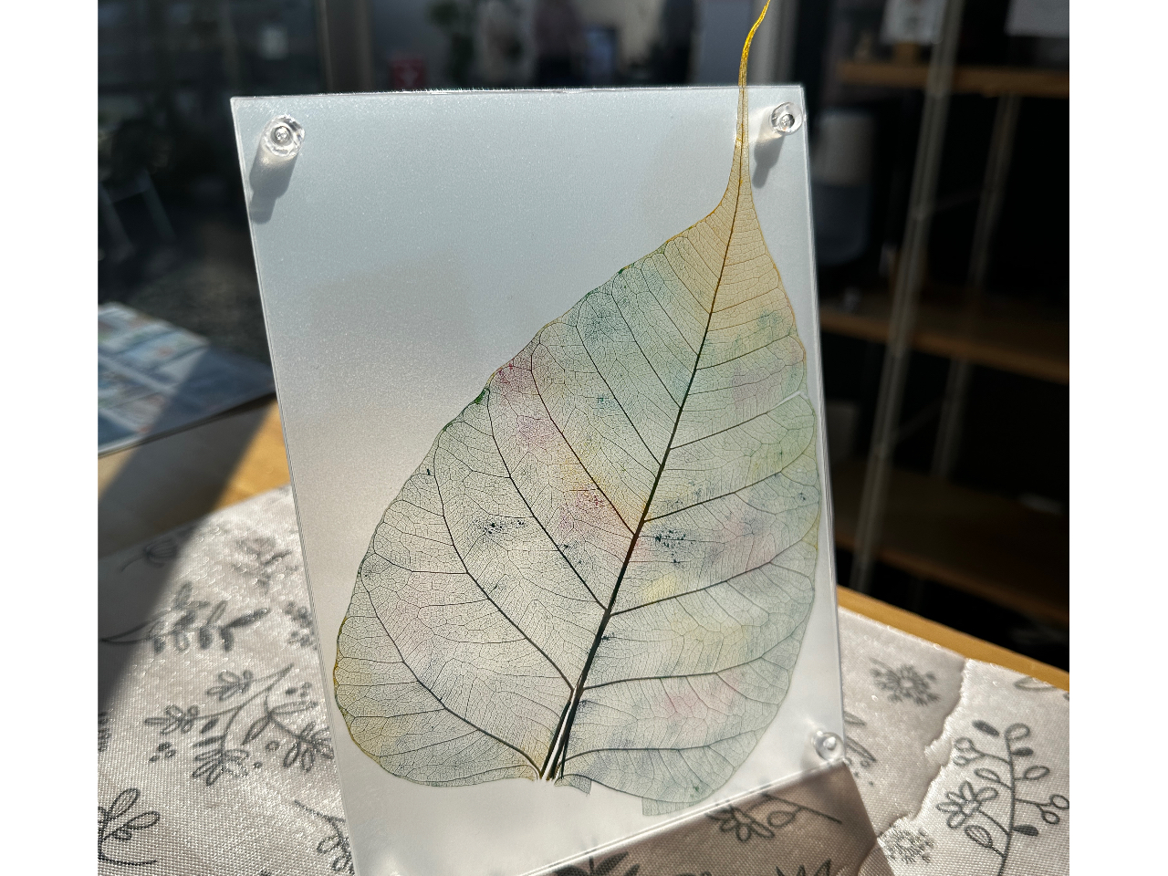 ボタニーペインティング体験】☆自然の葉で作るアート♪葉脈の美しさを