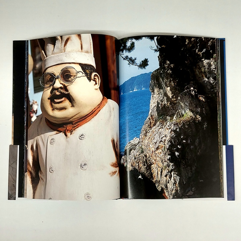 Documentary - 中平卓馬 | AKIO NAGASAWA