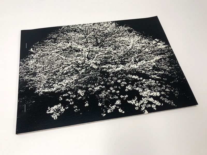 FLOWERS - 森山大道 | AKIO NAGASAWA