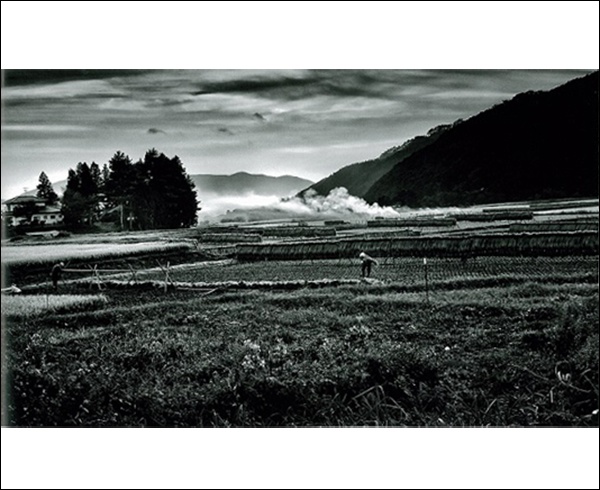 遠野2014（A.P.） - 森山大道 | AKIO NAGASAWA