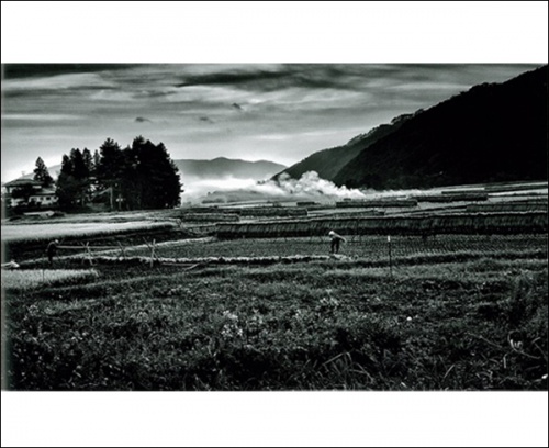 遠野2014（A.P.） - 森山大道 | AKIO NAGASAWA