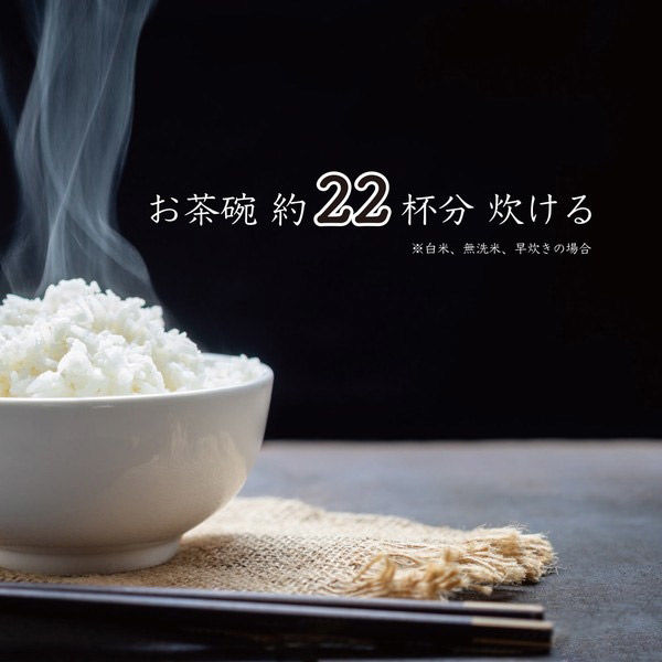 ダイアモンドヘッド 一升炊き炊飯器 加楽炊き RM-223H 1台 - アスクル