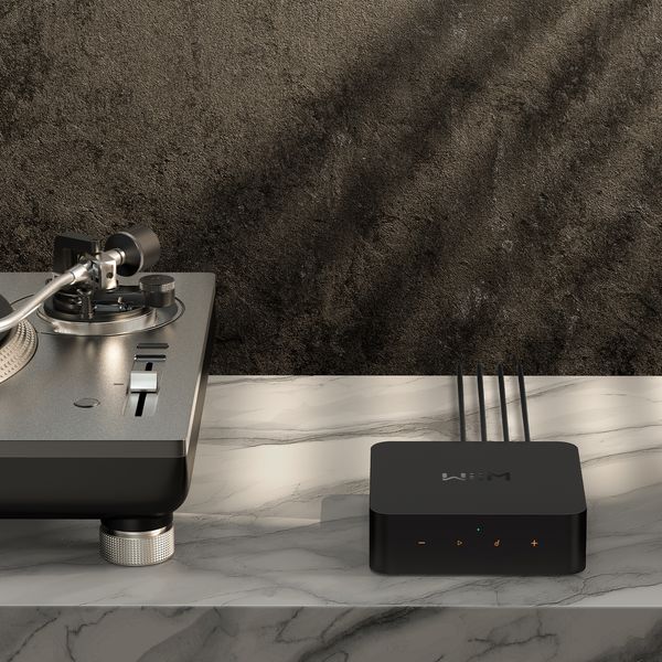 Linkplay Technology オーディオシステム向けミュージックストリーマー