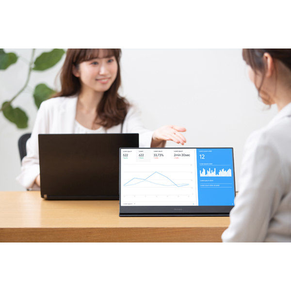 アイリスオーヤマ ポータブルモニター ILD-A16262KS-B 1台（直送品