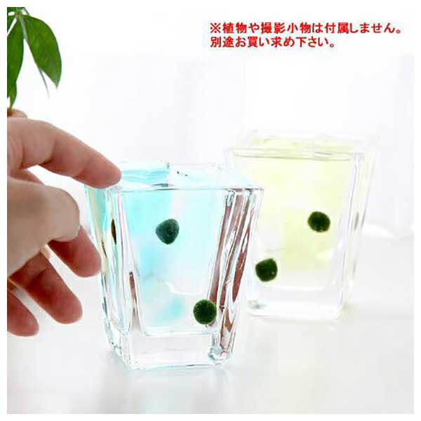 グラススクエア ガラスベース スクエアグラス S 62482 1個（直送品