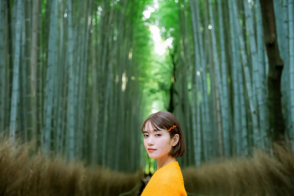 色彩の京都 絶景と味めぐり」 [生活・実用書] - KADOKAWA