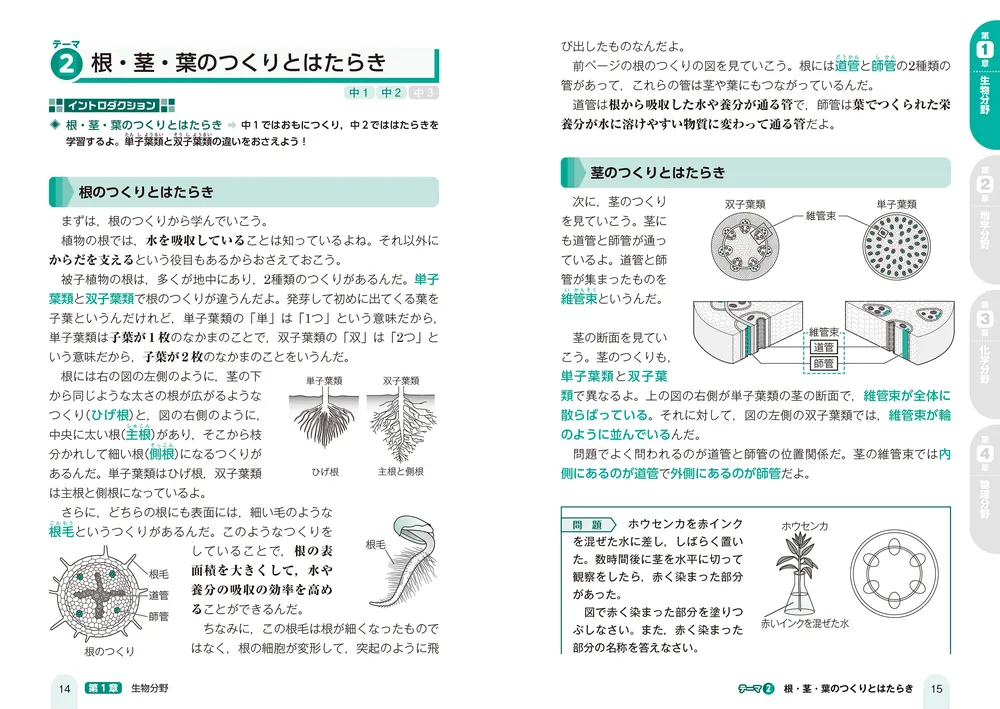 改訂第2版 中学理科が面白いほどわかる本」岩本将志 [学習参考書