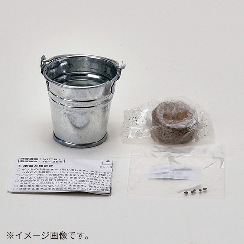 聖新陶芸 サボバケツ栽培キット GD1034－2 柱サボテン｜【ハンズネット