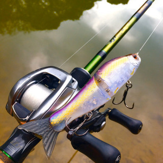 ロードランナー その他の中古が安い！激安で譲ります・無料であげます