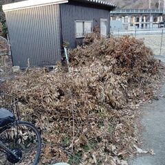 兵庫県の庭木の中古が安い！激安で譲ります・無料であげます｜ジモティー