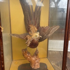 金鶏の中古が安い！激安で譲ります・無料であげます｜ジモティー