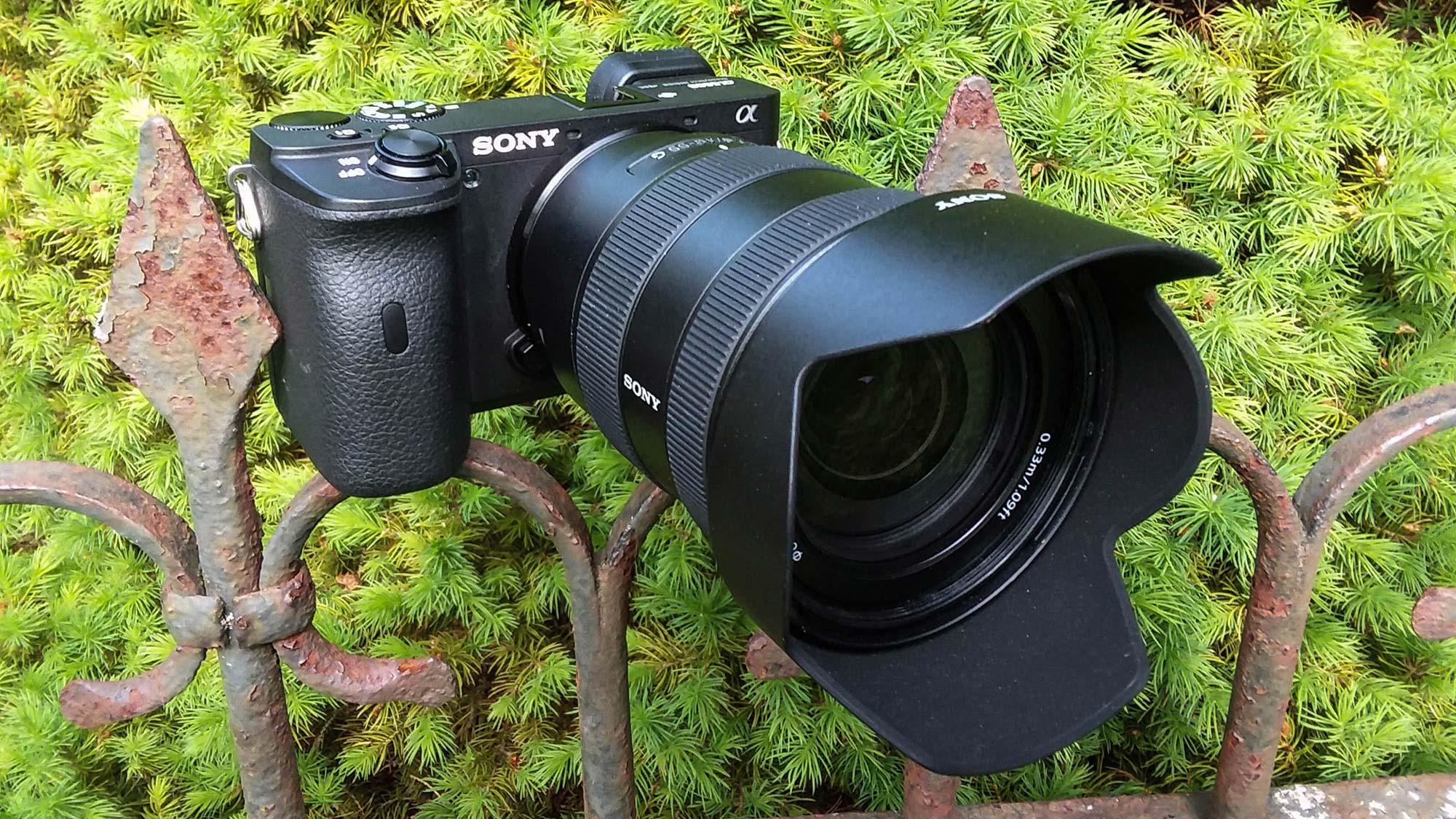 Sony Alpha a6600 review | Tom's Guide