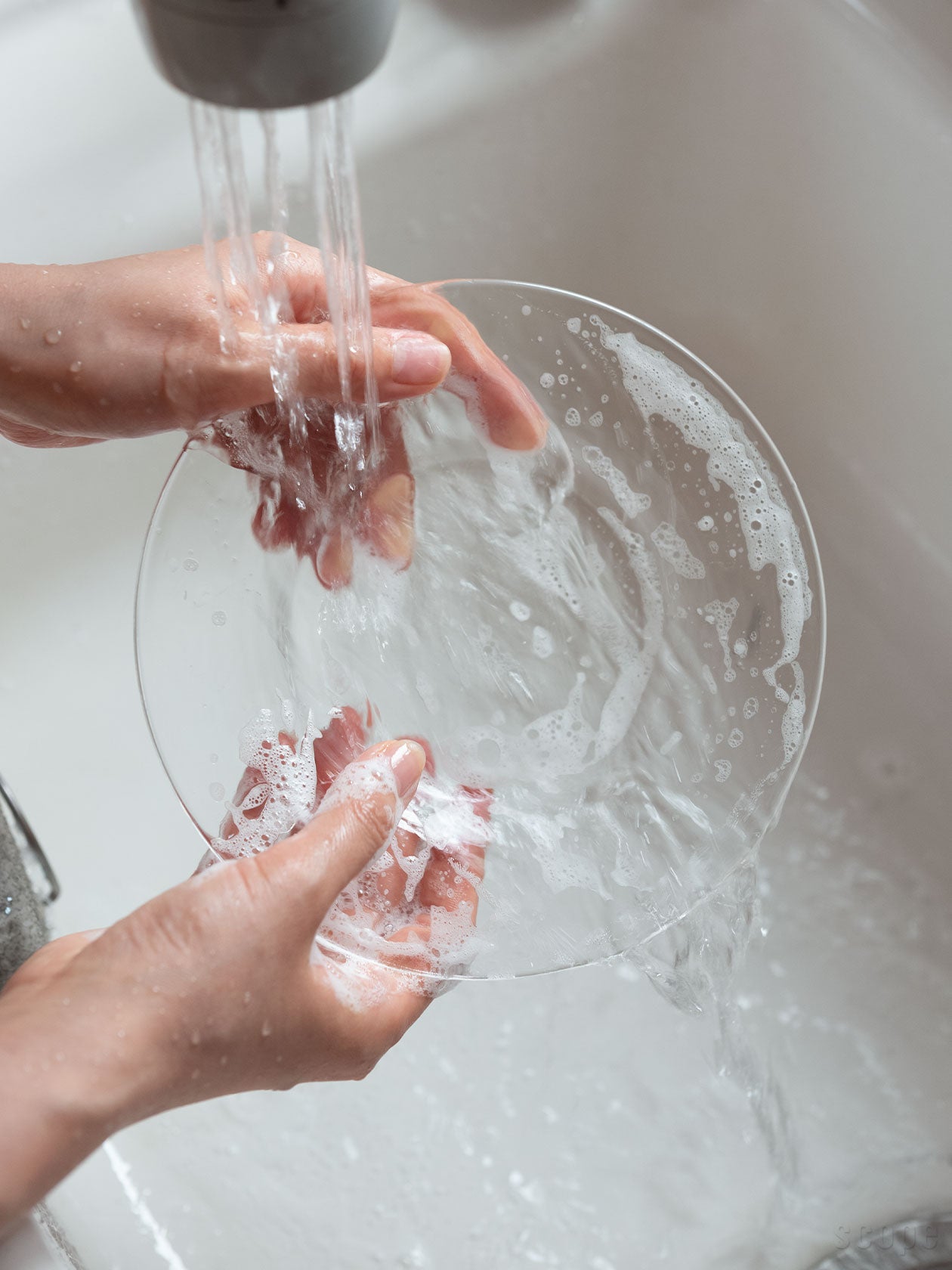 ガラスプレート | 東屋