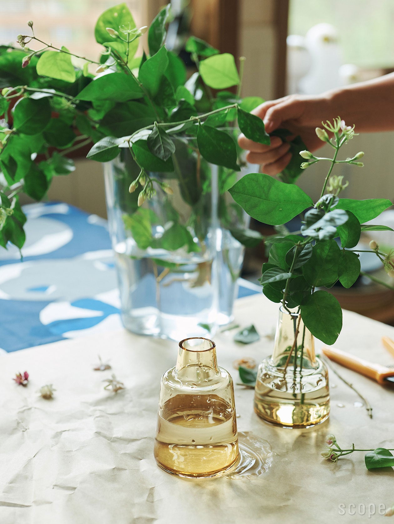 販売終了】Flora ベース