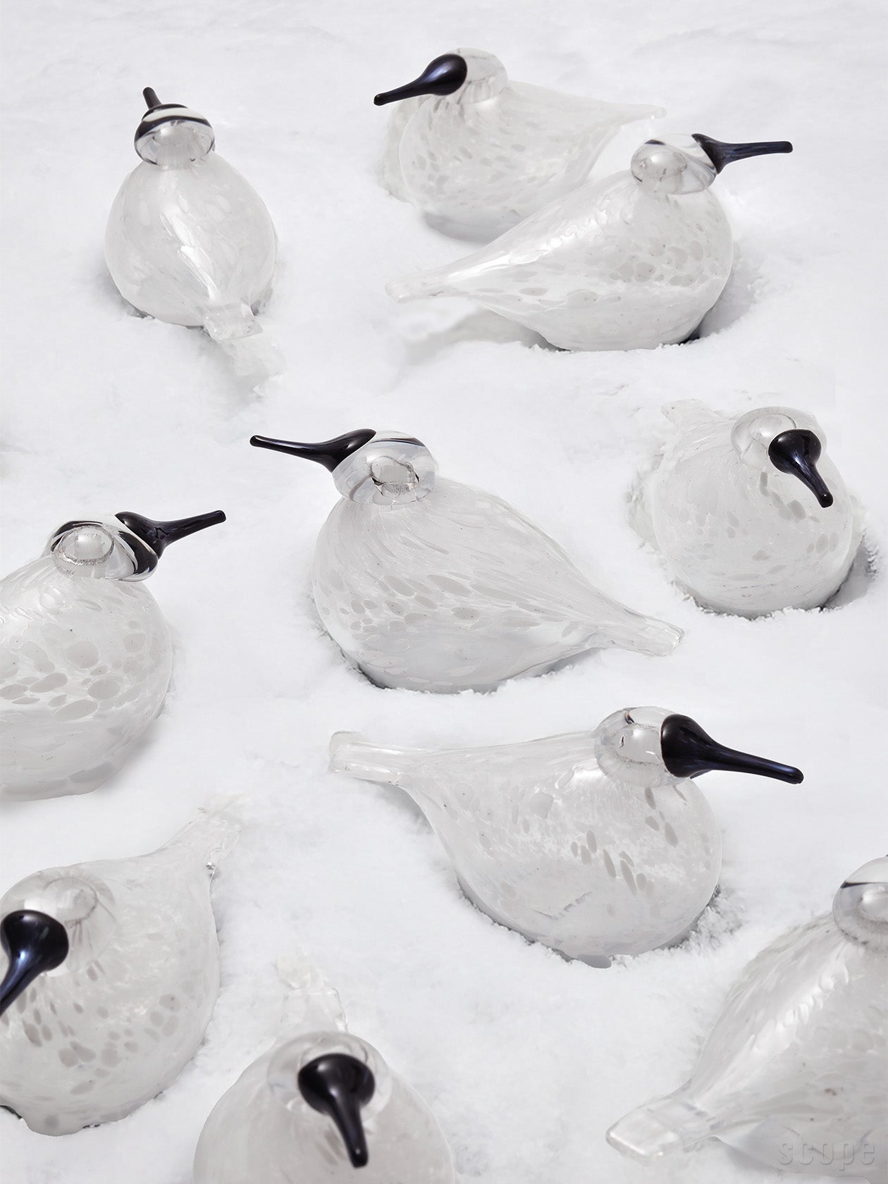 iittala Snow Finch 冬季限定バード｜SCOPE（スコープ）