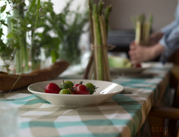 販売終了】Fabric of the day CHECK グリーン | SCOPE (スコープ)