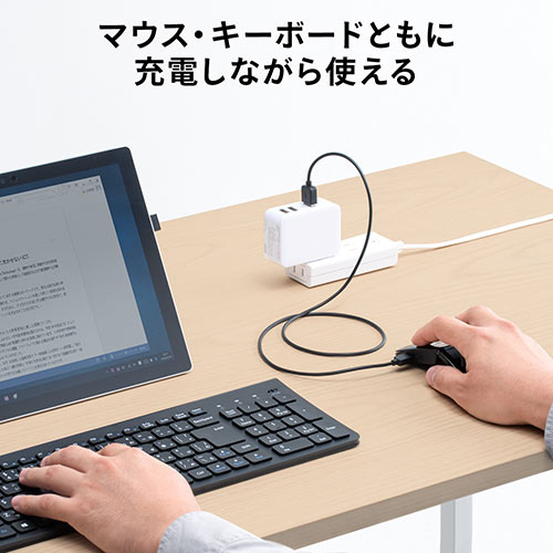 サンワダイレクト本店 サンワサプライ【オフィス・PC周辺通販】