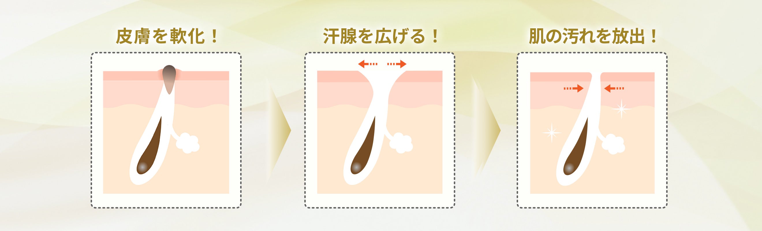 プレミアムEローション – 細胞学研究から生まれた完全無添加化粧品