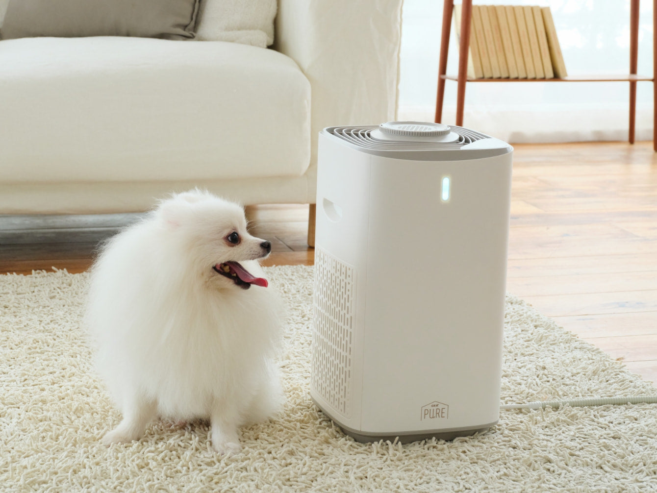 Wの消臭としっかり集毛 PURE PET AIR CLEANER | PURE（ピュア）公式