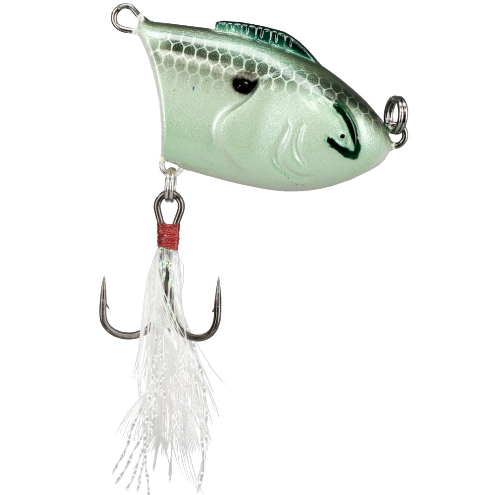 Bill Lewis Zig-Zag Topwater | Omnia Fishing