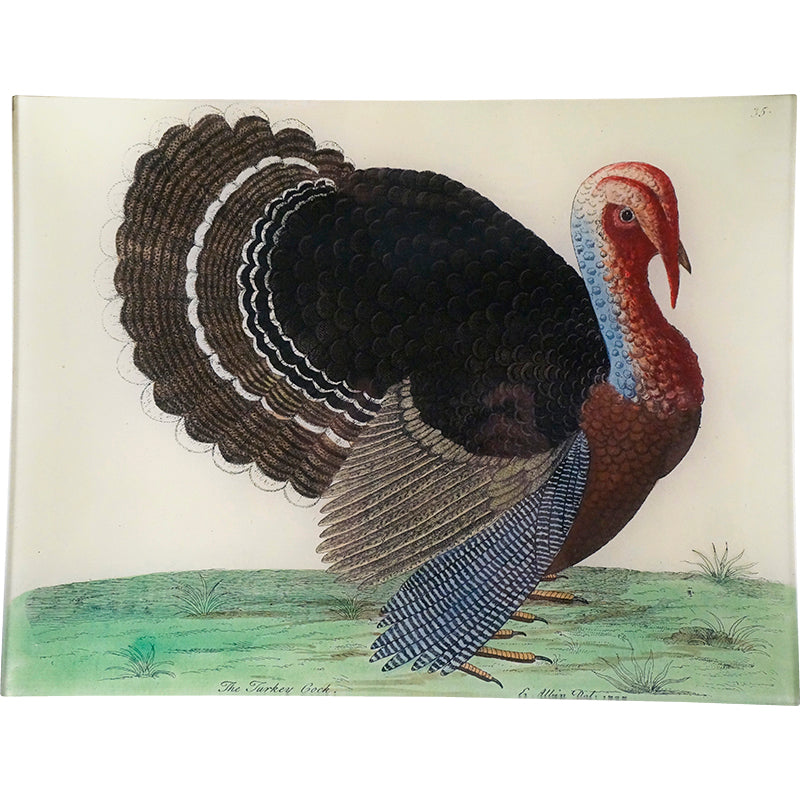 13T_20The_20Turkey.jpg?v=