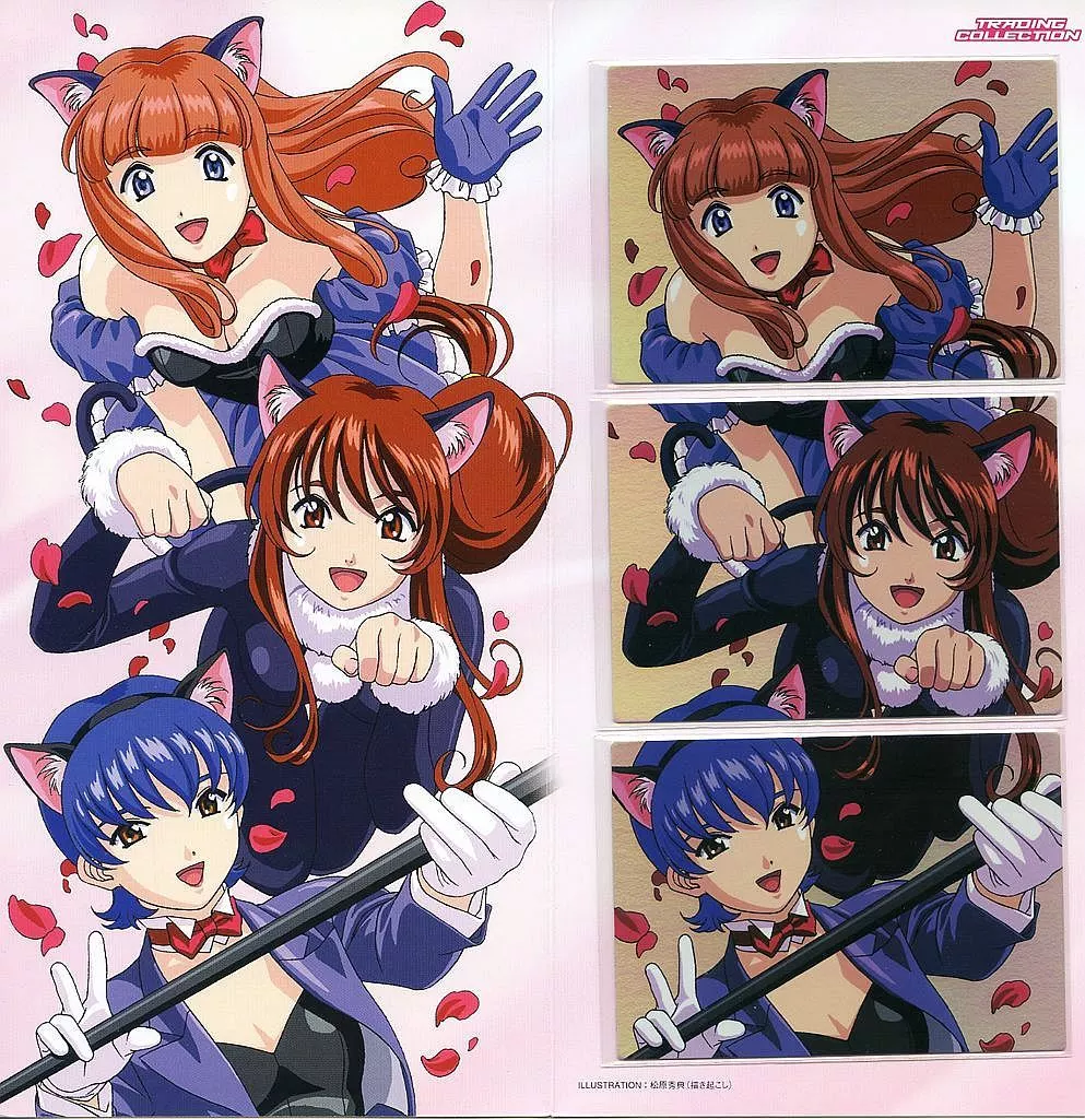 サクラ大戦3 トレーディングコレクション　プレゼントカード 駿河屋 -<中古>サクラ大戦3 トレーディングコレクション プレゼント