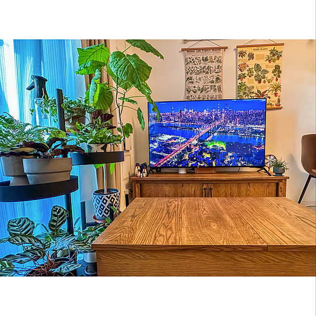 journal standard Furniture ジャーナルスタンダードファニチャー PSF