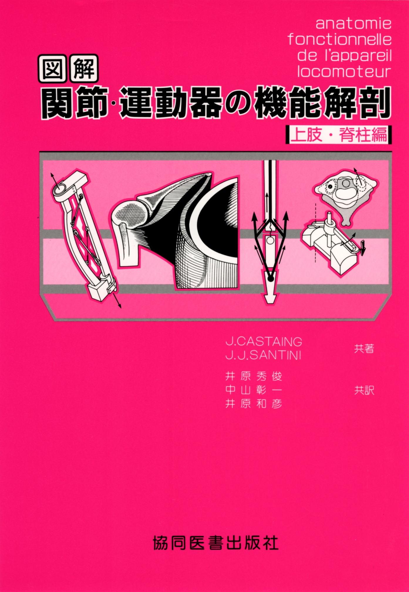 図解 関節・運動器の機能解剖 上肢・脊柱編/J. Castaing