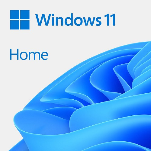 Microsoft マイクロソフト Windows 11 Home 64bit DSP版 DVD-ROM 紙