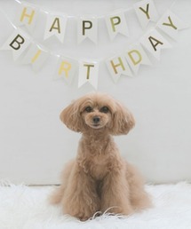 誕生日 ガーランド」に該当するファッション通販 - ZOZOTOWN