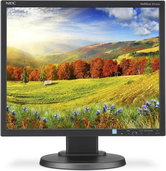 NEC Display MultiSync EA193MI-BK 19