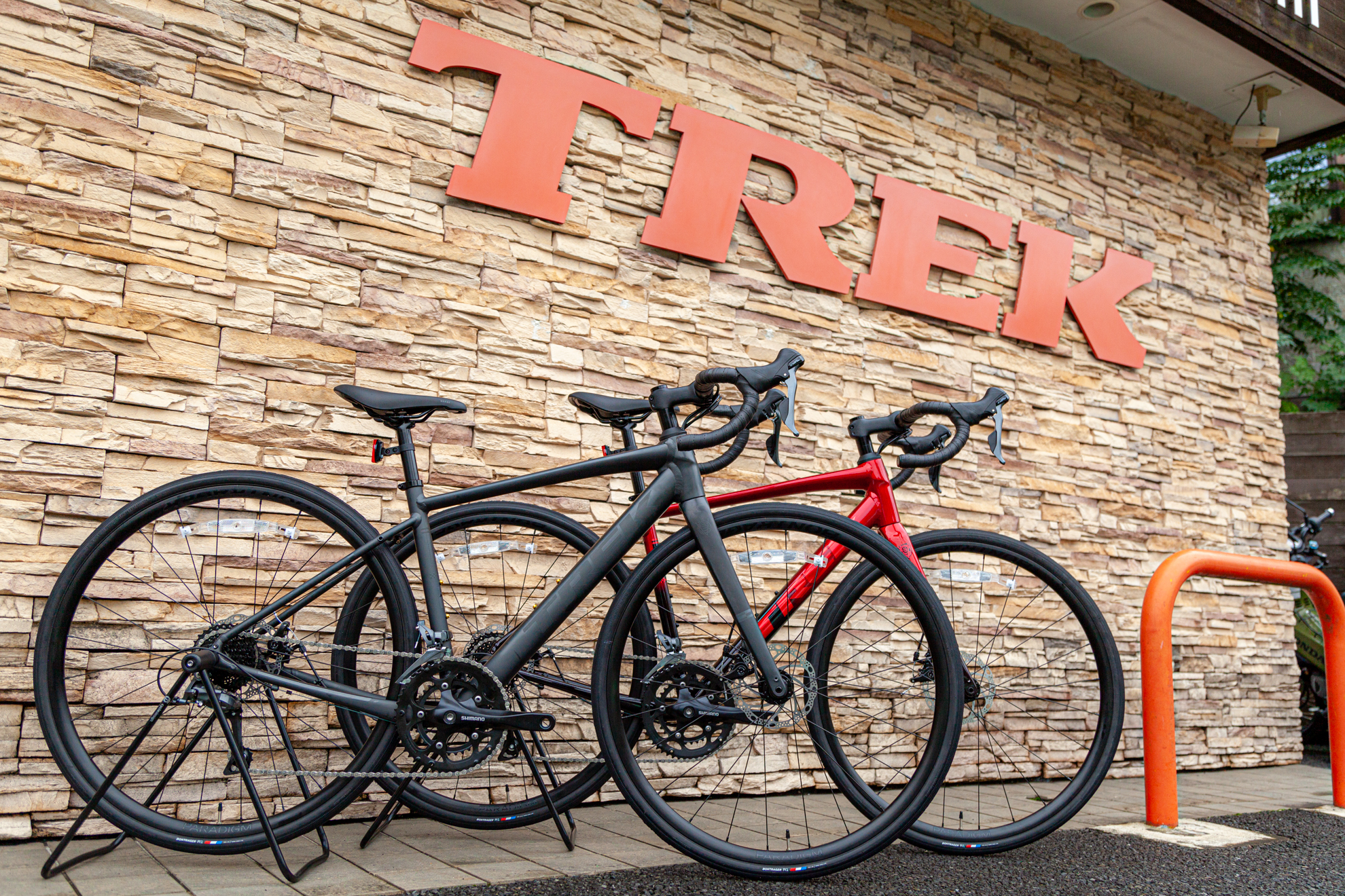 10/18更新]2024モデル新型Domane AL 2 Gen 4 展示車が入荷しました