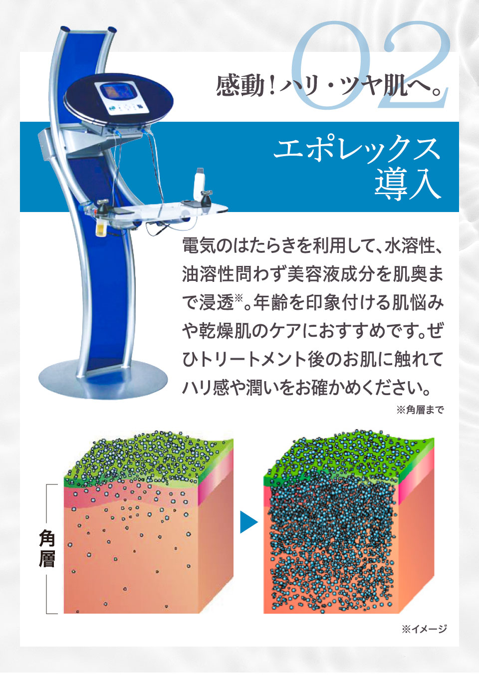 Wマシンリフトケアコース｜ エステティックサロン シーズ・ラボ【公式】