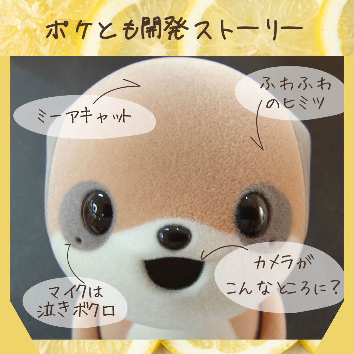 シャープ公式通販】 ポケとも本体 + ココロプラン for ポケとも(セット