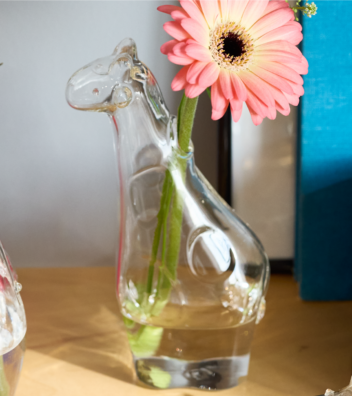 Animals｜CLAY - 花と人をツナグ