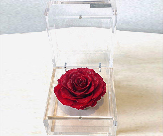 大和オンラインショップ