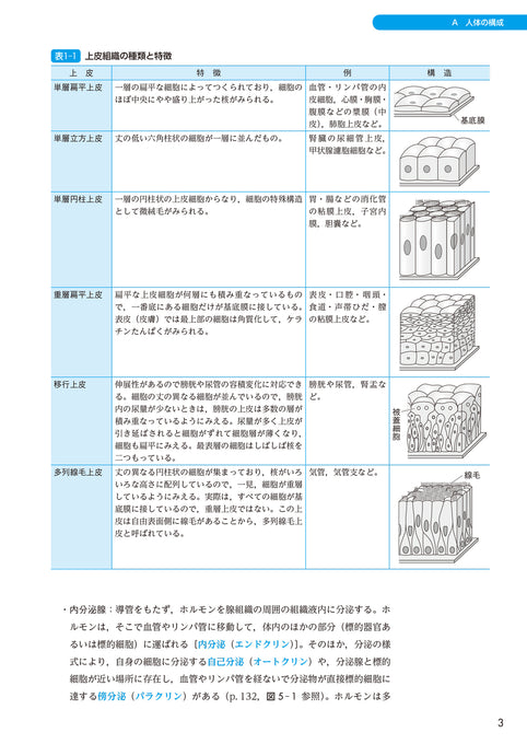 サクセス管理栄養士・栄養士養成講座 生化学 第6版 – 第一出版株式会社