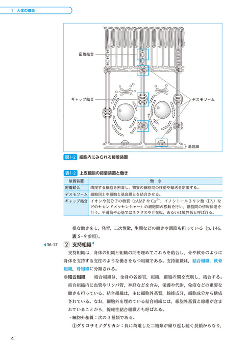 サクセス管理栄養士・栄養士養成講座 生化学 第6版 – 第一出版株式会社