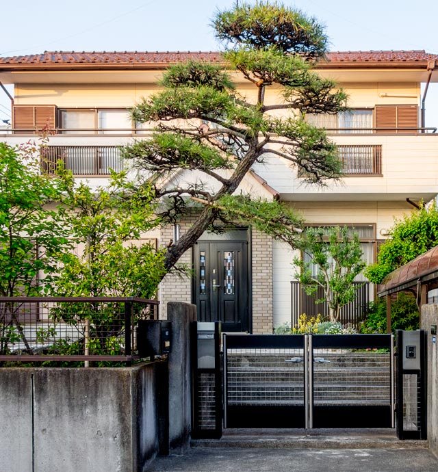 門かぶりの松」がおもしろい :: デイリーポータルZ