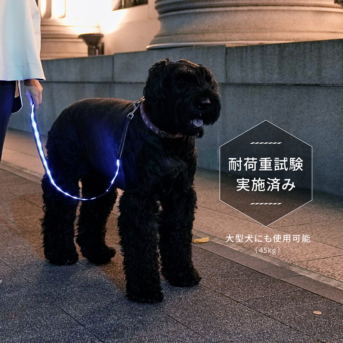 ナイトウォーカー® LED光るリード – Darlin'Yu