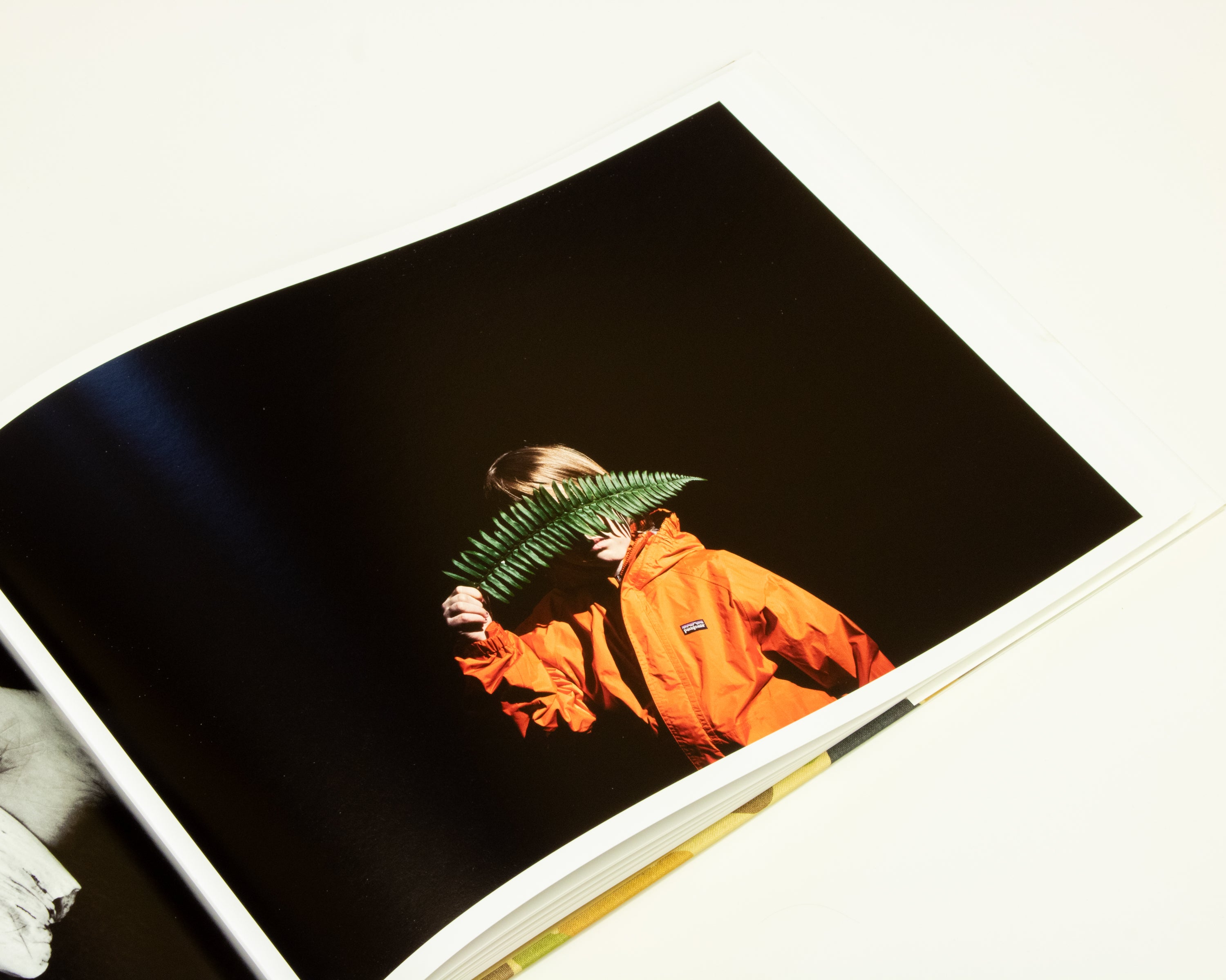 Wild & Precious – Daylight Books