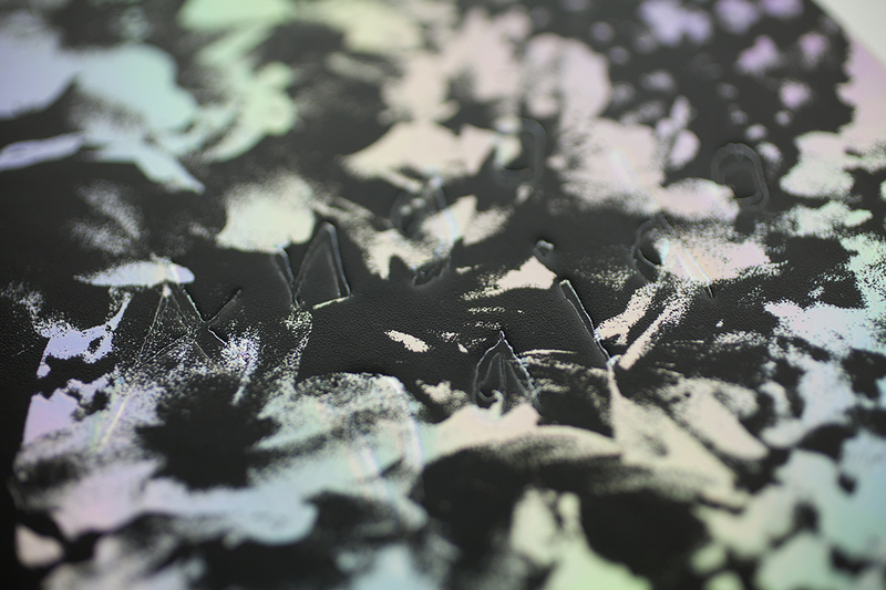 Daido Moriyama: Ango（英語版） - 森山大道 | shashasha 写々者